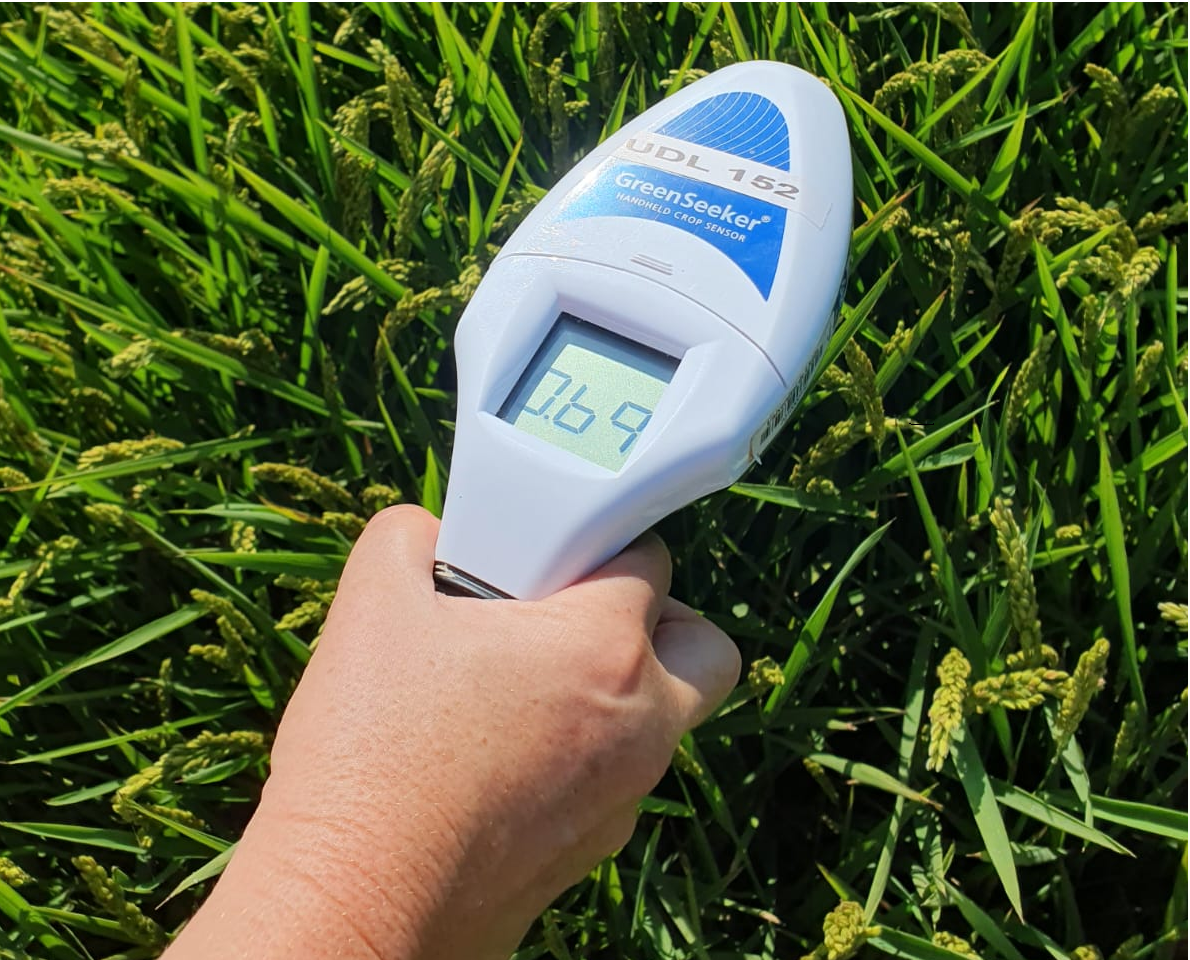 Calibració de dades entre dron, satèl·lit i GreenSeeker